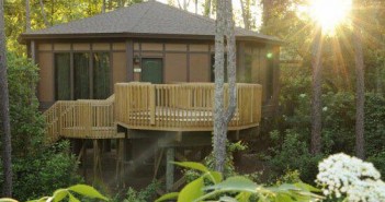 Treehouse Villas at Disney’s Saratoga Springs Resort & Spa Disney World Treehouse Villa