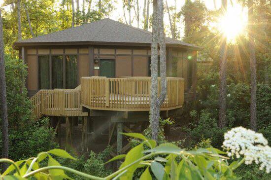 Disney World's Treehouse Villa Resort