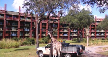 Should I Stay in a Disney World Resort?