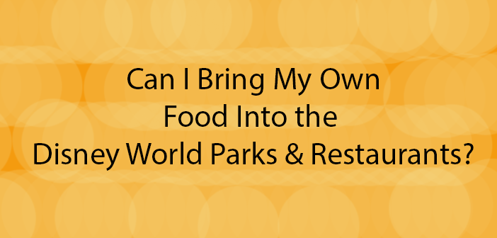 Can You Bring Your Own Food To A Disney World Park Or Restaurant 