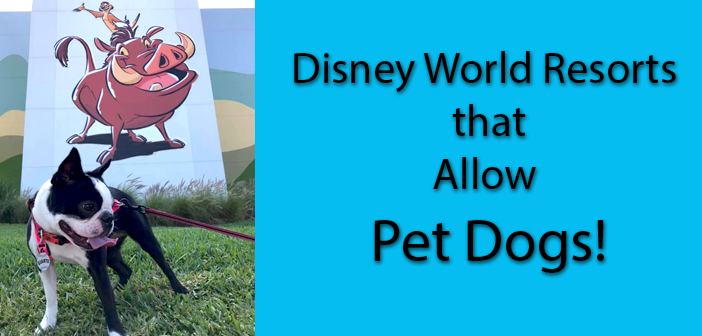 Disney World Resorts that Allow Dogs