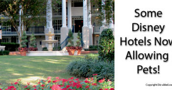 Dogs Allowed in Certain Disney World Hotels Disney World resorts allowing pets dogs