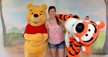 Travelling Solo to Disney World – Part 1 – Safety while visiting Disney World Solo traveling at Disney World Part 1 safety and security is it safe