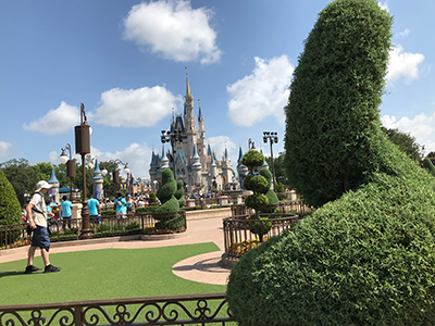Peaceful places when dealing with Fear, anxiety and phobias at Disney World 