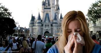 Avoiding Colds, Viruses & Flu, And Keeping The Immune System Strong at Disney World Avoiding cold and flu and keeping immune system strong at Disney World