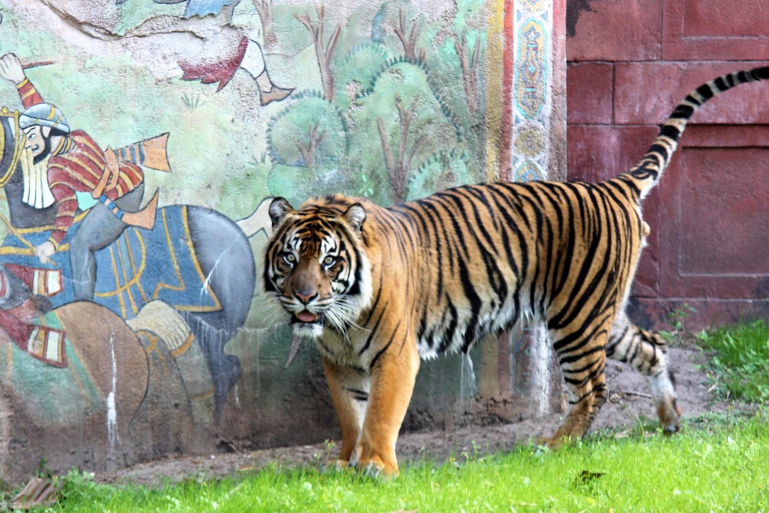 Maharajah Jungle Trek - Animal Kingdom - Disney World