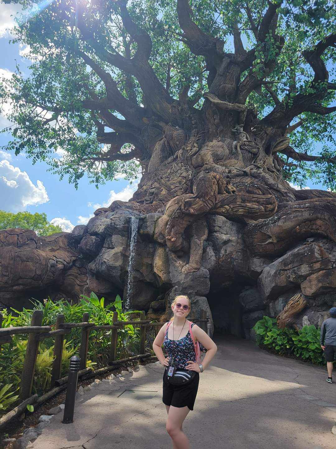 The Tree of Life in Animal Kingdom