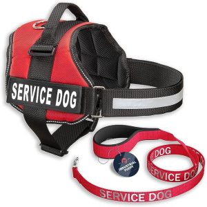 Service dog vest and leash